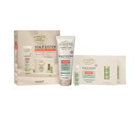 Alfaparfr Milano El Salón Set Sistema Energizante Sh 250ml + Fiales De Cuero 12x