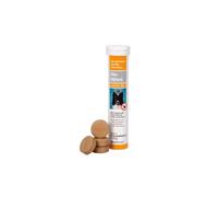 alfavet Dia Tab® Tubo de diapositivas | 1 x 12 de 5,5 g | Complemento alimenticio dietético para perros y gatos