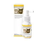 Alfavet ManukaSan - Spray de miel para perros, gatos y animales pequeños, 50 ml