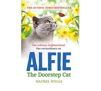Alfie the Doorstep Cat: The Sunday Times bestseller and perfect stocking filler: Book 1 (Alfie series)