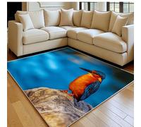 Alfombra 160 x 230 cm Pájaros Martín Pescador Pelo Corto Lavable en Lavadora Antideslizante suaveAzul para Dormitorio Comedor Oficina y hogar Grande