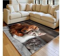 Alfombra 60x90cm Gatos y Perros Alfombra 3D de Pelo Corto Animales Adorables Moqueta Suave y Mullida Lavable Lavadora Adecuado para Entradas Pasillos y Puertas de Entrada b-3221