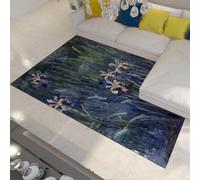 Alfombra 90x150 Antideslizante Alfombrilla de Arte Abstracto Lavable para salón Tapete Suaves Pelo bajo Que no mudan Grandes Interiores Iris Florales Pradera Oficina habitación bebé