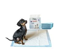 Alfombra Absorbente de 60 x 60 cm Sueños y Capricci Pets, Lavanda, 1 sobre (10 Unidades)