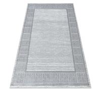 Alfombra ALLURE 8783 Chave grega marco - Estructural elegante glamurosa gris claro / blanca 180x270 cm