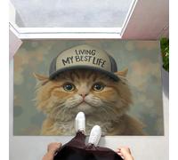 Alfombra Atrapapolvo, 40x60cm Alfombra Gorra De Béisbol Gato Naranja Antideslizante Lavable en Lavadora, Felpudo de Entrada Estilo Retro Suaves Absorbentes para Entrada, Puerta y Pasillo, Azul Claro