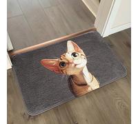 Alfombra Baño Gato Gris Oscuro Alfombra Ducha Antideslizante Lavable Tapetes para Pasillo Dormitorio Entrada Alfombrilla Baño Antideslizante para Salir de la Ducha (50x80cm)