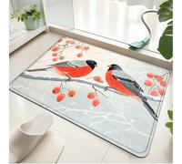 Alfombra Baño Pájaro Ramo Naranja Alfombra Ducha Antideslizante Lavable Tapetes para Pasillo Dormitorio Entrada Alfombrilla Baño Antideslizante para Salir de la Ducha (50x80cm)