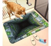 Alfombra con agujeros 3D 2026, alfombra de ilusión óptica, el perro tiene miedo de la alfombra 3D, alfombras que parecen un agujero, felpudo visual antideslizante, para dormitorio, sala de estar o