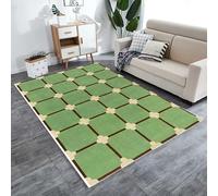 Alfombra de área de 160 x 280 cm, suave, de pelo corto, antideslizante, lavable a máquina, para siempre, dormitorio y cocina, estampado floral geométrico moderno en varios colores, verde