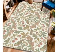 Alfombra de área para pájaros, vintage, botánica, fresa, floral, primavera, verde, antideslizante, para interiores, alfombras que no se desprenden, para sala de estar, dormitorio, decoración de