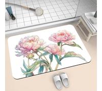 Alfombra de Baño Antideslizante de Diatomita 100x160cm, Alfombras de Entrada, Alfombra Ducha Súper Absorbente de Piedra de Secado Rápido, Bath Mat Lavable para Puerta Bañera Cocina Funny 2-1378