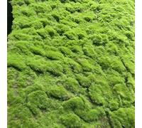 Alfombra de césped artificial de musgo - Alfombra de musgo realista, alfombra sintética para boda, hogar, jardín, bonsái, fotografía, terrario, decoración interior y exterior (onda natural, 50 x 100