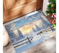 Alfombra de Pelo Corto 60x90cm, Alfombra Entrada Casa Renos Del Bosque Felpudo País De Las Maravillas Invernal Antideslizante Lavables en Lavadora para Habitacion BañO Cocina Exterior, Azul Claro