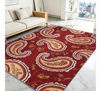 Alfombra de pelo corto lavable 100 x 160 cm, diseño de Paisley, alfombra de salón, bohemia suave antideslizante para entrada interior, dormitorio, cocina, habitación infantil