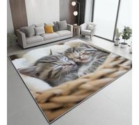 Alfombra de Pelo Corto Suave - Primer Plano Cesta Adorable Gatos Estampado, Alfombra Antideslizante para Salón Dormitorio Comedor o Habitación Infantil - Lavable en Lavadora - Colorful, 60 x 90 cm