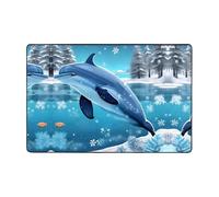 Alfombra de salón con estampado de delfín Winter The Dolphin de 72 x 48 pulgadas para mesa de café, mesita de noche, oficina, balcón