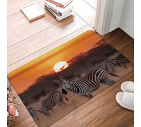Alfombra Entrada Atardecer En África Alfombras Limpia Zapatos Divertidos Alfombra De Baño Absorbente Alfombrilla Antideslizante para Pasillo Cocina Patio 40X60CM