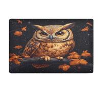 Alfombra Entrada Búho De Otoño Alfombras Limpia Zapatos Lavable Alfombra De Baño Divertidos Alfombrilla Antideslizante para Patio Pasillo Interior 40X60CM