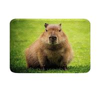 Alfombra Entrada Capybara Kawaii Capybara Cute Mouse Rodent Animals Natural Theme Alfombras Limpia Zapatos Lavable Alfombra De Baño Absorbente Alfombrilla Antideslizante para Cocina 40X60CM