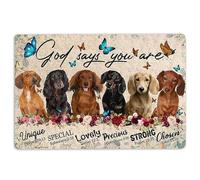 Alfombra Entrada Dachshund Dachshunds Dog God Says You Are Alfombra De Baño Moderno Alfombras Limpia Zapatos Absorbente Alfombra Antideslizante para Garaje Cocina Interior 40X60CM