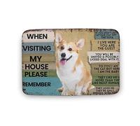 Alfombra Entrada Dog When Visiting My House Please Remember Dog Welcome Alfombrilla Antideslizante Moderno Alfombras Limpia Zapatos Absorbente Alfombra Antideslizante para Cocina Garaje 40X60CM