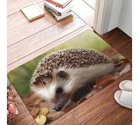 Alfombra Entrada Erizo Alfombras Limpia Zapatos Lavable Alfombra De Baño Absorbente Alfombrilla Antideslizante para Interior Pasillo Patio 40X60CM