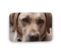 Alfombra Entrada Perro Come Helado Alfombra De Baño Moderno Alfombrilla Antideslizante Divertidos Alfombras Limpia Zapatos para Interior Cocina Garaje 40X60CM