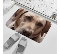 Alfombra Entrada Perro Come Helado Alfombras Limpia Zapatos Moderno Alfombra De Baño Divertidos Alfombrilla Antideslizante para Interior Pasillo Cocina 40X60CM