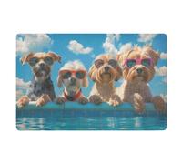 Alfombra Entrada Piscina para Perros Alfombrilla Antideslizante Moderno Alfombra De Baño Divertidos Alfombras Limpia Zapatos para Pasillo Interior Patio 40X60CM