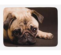 Alfombra Entrada Pug Photograph of A Pet Its Little Paws Pure Bred Dog Image Animal Fun Brown Pale Brown Alfombrilla Antideslizante Alfombra De Baño Lavable Alfombras Limpia Zapatos para 40X60CM