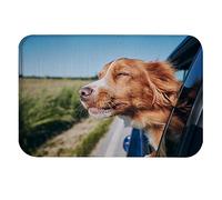 Alfombra Entrada Retrato De Un Perro Divertido con La Cabeza Fuera De La Ventana del Coche Alfombrilla Antideslizante Moderno Alfombra De Baño Divertidos Alfombras Limpia Zapatos para 40X60CM
