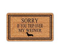 Alfombra Entrada Sorry If You Trip Over My Dogs Theme Alfombras Limpia Zapatos Absorbente Alfombrade Baño Lavable para Terraza Pasillo Interior 40x60cm