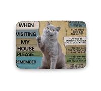 Alfombra Entrada When Visiting My House Please Remember Cat Alfombra Antideslizante Absorbente Alfombras Limpia Zapatos Lavable Alfombrilla Antideslizante para Pasillo Interior Cocina 40X60CM