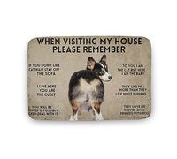 Alfombra Entrada When Visiting My House Please Remember Dog Alfombra Antideslizante Absorbente Alfombras Limpia Zapatos Lavable Alfombra De Baño para Pasillo Cocina Interior 40X60CM