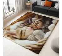 Alfombra Habitación Salon Cesta De Bambú Animal Gato Gris 80x150 cm Alfombras Lavable Suave Antideslizante Impresión 3D, para Salon, Dormitoro, Habitación Los Niños Alfombra Pelo Corto