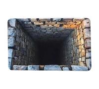 Alfombra Ilusión 3D, material de impresión de terciopelo de poliéster | 50 x 80 cm antideslizante 250 g Tamaño | Felpudo con motivo visual de agujero realista para perros y gatos, decoración divertida