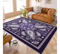 Alfombra Infantil para Interiores 60x90 cm Bohemia Runas MíSticas Alfombra Mullida, Base Antideslizante, Lavable a Máquina, PúRpura Alfombras de Salón y Dormitorio de Pelo Corto