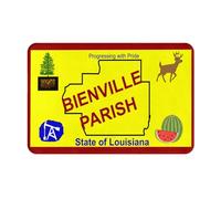 Alfombra Interior Bandera De La Parroquia De Bienville, Luisiana Absorbentes Felpudo De Entrada Antideslizante Tapete Felpudo Entrada para Recibidor Oficina Hogar 60X40Cm