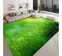 Alfombra lavable en lavadora 80 x 150 cm, alfombra antideslizante y anti-pelusa planta hierba gotas de rocío - moqueta suave fotografía de naturaleza para salón dormitorio comedor pasillo y cocina