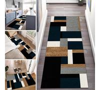 Alfombra, Moqueta, Long s for Hallway 100cm 1.5m 2m 250cm 300cm 4m 5m 6m Kitchen Hall Stairs Narrow Runner Rug, Washable Carpet Floor Mat Area Rug with Non Slip Backing(70x100cm/2.3ftx3.3ft)
