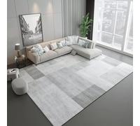 Alfombra nórdica gris para sala de estar y dormitorio, tapete grande para mesa de café, elegante alfombra de decoración del hogar, 60 x 120 cm, perfecta para interiores modernos
