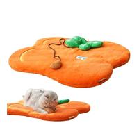 Alfombra para cama de gato genérica | Manta de suelo naranja para perro pequeño | Alfombra lavable para mascotas para relajarse en el interior salón cocina descanso diario y noche