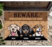 Alfombra Puerta Cómodo Felpudo De Entrada Suave Alfombra De Baño para Cuarto Jardín Pasillo 40X60Cm Cuidado, Aquí Viven Perros Malcriados Y Podridos.