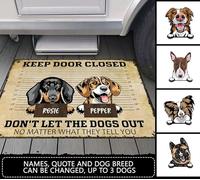 Alfombra Puerta Suave Felpudo De Entrada Fácil De Limpiar Tapete para Puerta para Cocina Jardín Entrada Casa 40X60Cm No Dejes Salir Al Perro