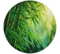 Alfombra Redonda 60 cm, Naturaleza Plantas Bosque De Bambú Sol Antideslizante Lavable Suave Pelo Corto Alfombra para Sala de Estar Dormitorio Pasillo Cocina Estudio Decoración del Hogar, Verde