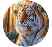 Alfombra Redonda Broncearse de 60 cm, Alfombra con patrón Naturaleza Bosque Animales Tigre, Lavable a máquina Alfombra Antideslizante para Dormitorio Sala de Estar Cocina