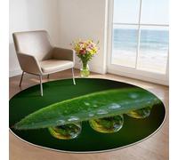 Alfombra Redonda de Salon Plantas Naturaleza Estampado Alfombra Lavable de Habitacion, Verde Hojas Gotas De Agua Pelo Corto Alfombras para Cocina Comedor Sala de Estar y Dormitorio, 60 cm
