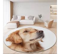 Alfombra Redonda para Sala de Estar Animal Golden Retriever Impreso Alfombra Suave Antideslizante para Comedor, Dormitorio, sofá, Cocina o Sala de Juegos 160 cm, Blanco