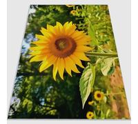 Alfombra Salón 120 x 180 cm Suave Antideslizante Girasoles Frente al Sol Frescos. Dormitorio, Comedor Pasillo Alfombra Rectangular Lavable a máquina Amarillo